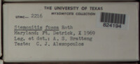 Image Associated With the Occurence